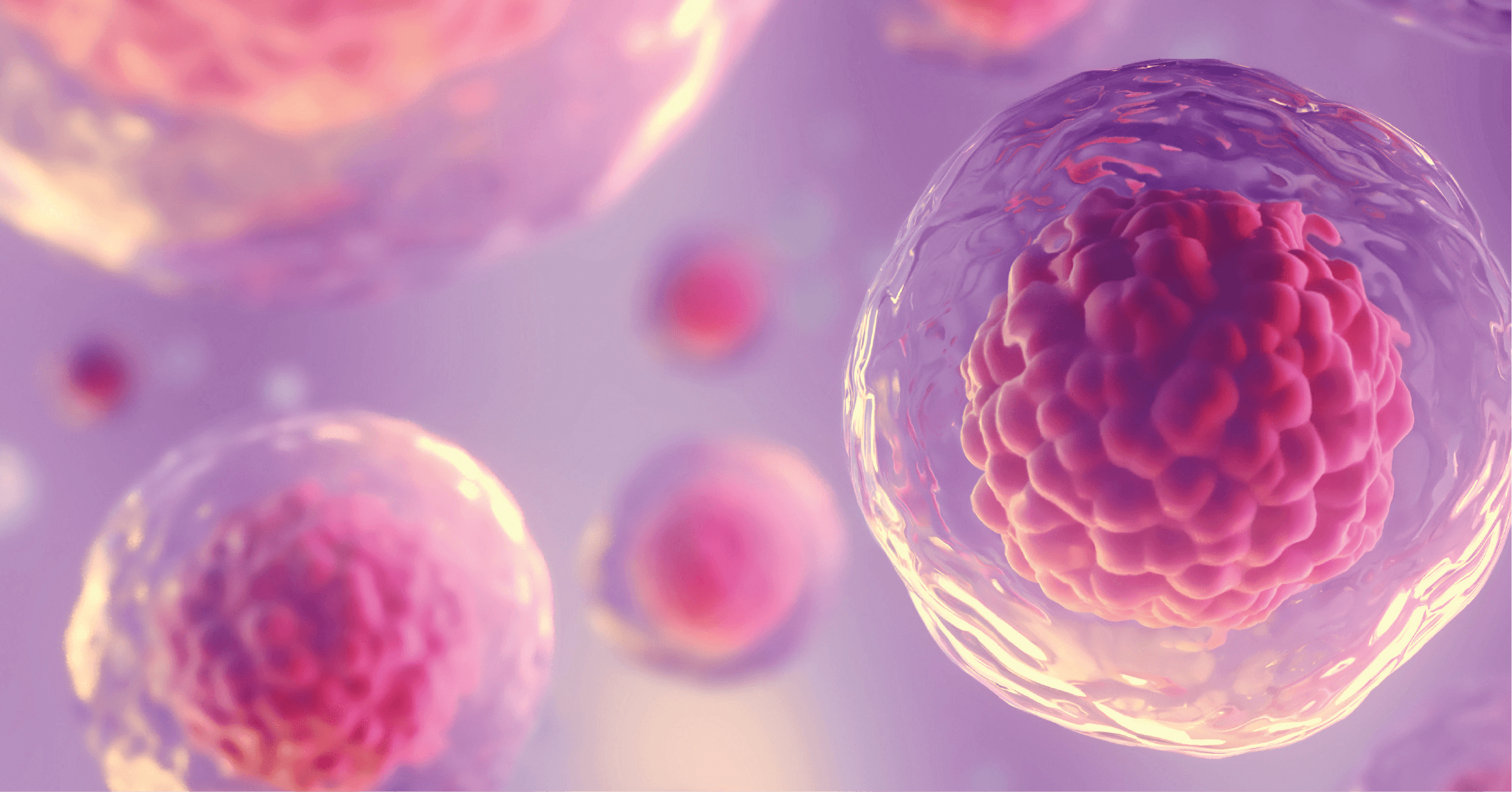 4th Gene and Cell Therapies: CMC, CGT & Vector Manufacturing Summit